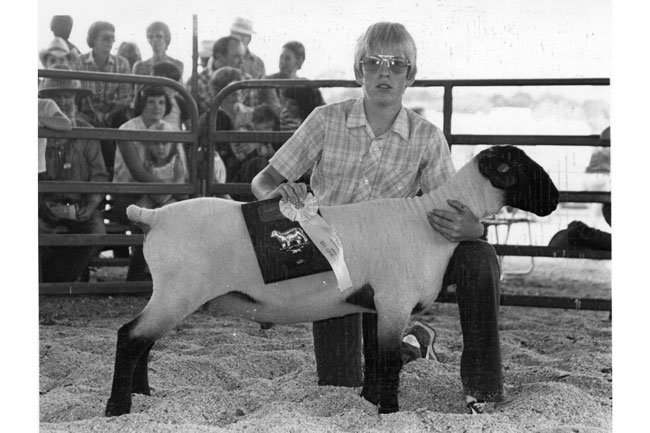 1980s-reserve-grand-champion-lamb 1980's, Reserve Grand Champion Lamb