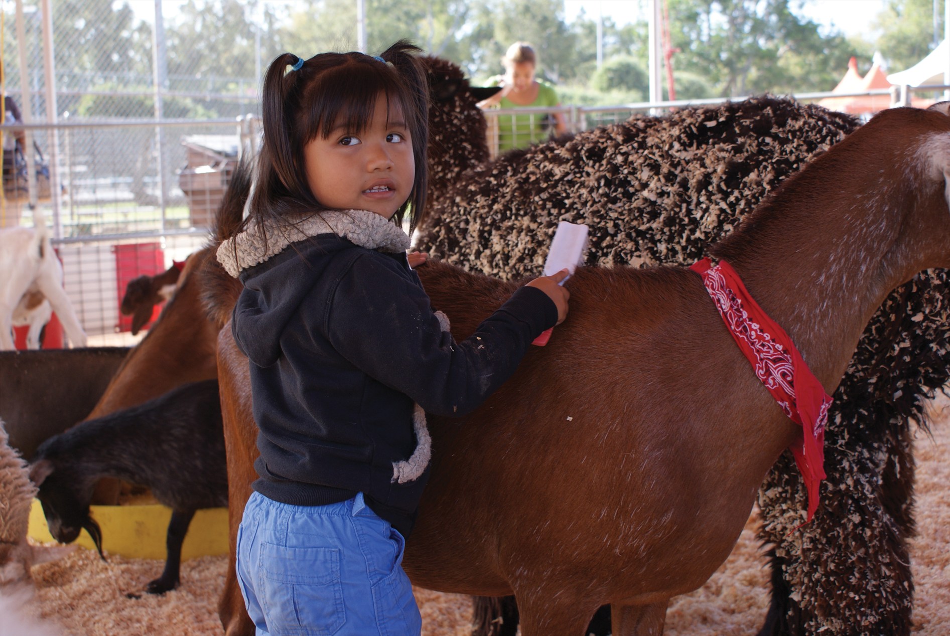 girl petting goat