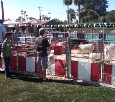 petting zoo