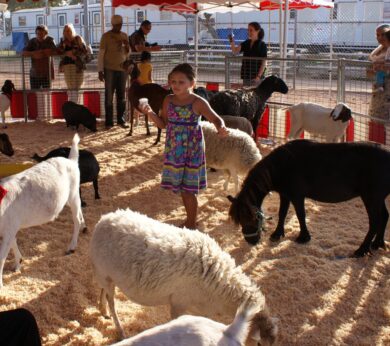 girl in petting zoo