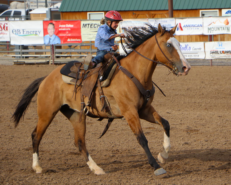 girl riding a horse at the family rodeo