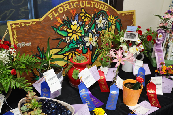 The floriculture table in the open class exhibits