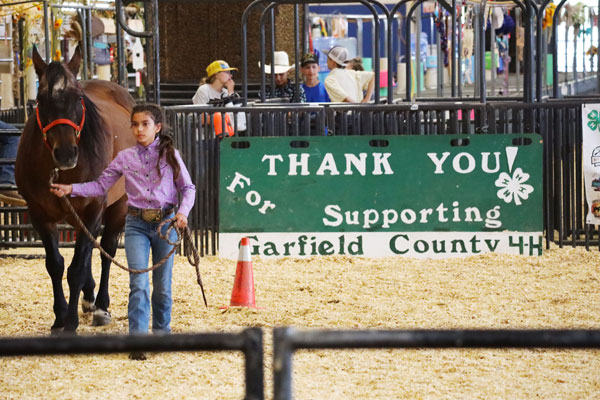 girl walking her horse in the round robin
